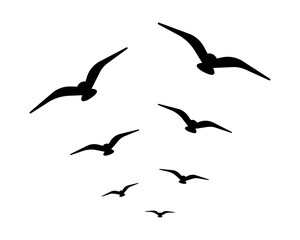 flock of birds flying vector design