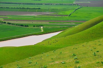 landscape with field and sky