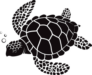 Sea turtle design isolated on transparent background. Undersea animals.