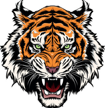  illustration vector graphic of angry tiger  mascot good for logo sport ,t-shirt ,logo