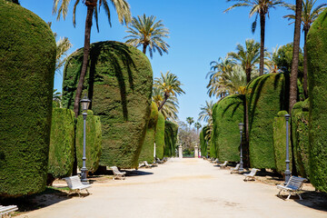 Genoves Park, Botanical Garden of Cadiz. Andalusia, Spain.