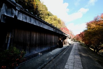 Fototapeta na wymiar 【和歌山】熊野古道（中辺路）