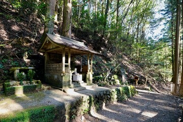 【和歌山】熊野古道（中辺路）