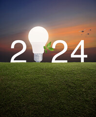 Led light bulb with fresh leaves and 2024 letter on green grass field over sunset sky and birds,...