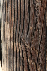 colorful texture of a very old wooden board that has been weathered over time by external natural conditions