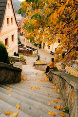 A boy looks at the old European town of Loket in autumn