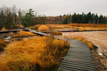 Wooden path through swamps and smoking earth, Frantiskovy Lazne, SOOS