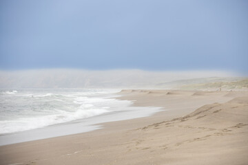 A beach at Point Reyes National Seashore