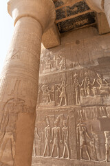 Egyptian hieroglyphs on wall and column in Kom Ombo temple