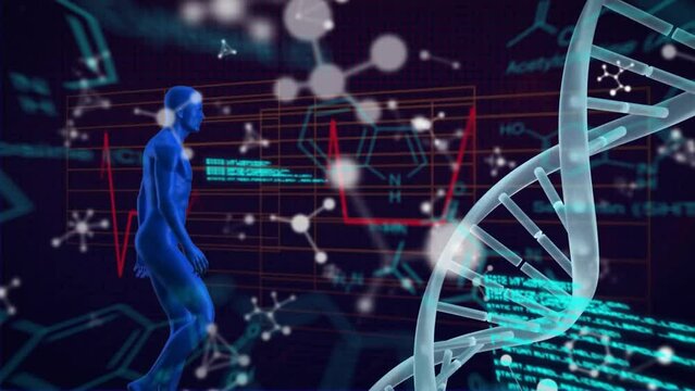 Animation of scientific data processing and dna strand over human body