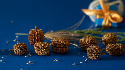 Christmas background of pine cones on blue background
