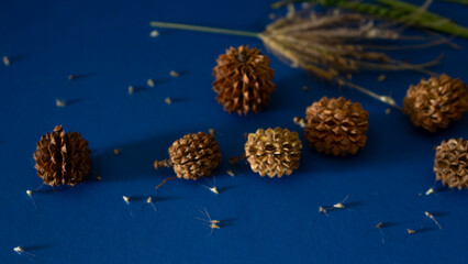 Christmas gift box and pine cones on blue background