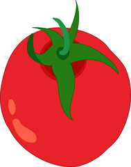 Red Tomato Vegetable