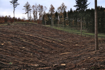 gepflügte Fläche im Wald