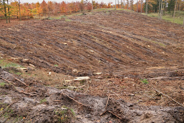 gepflügte Fläche im Wald
