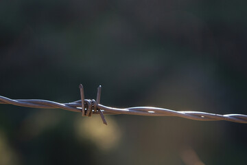 Barbed wire on an abstract background
