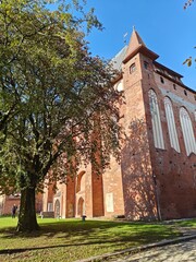 Gothic cathedral on the island of Kant in Kaliningrad