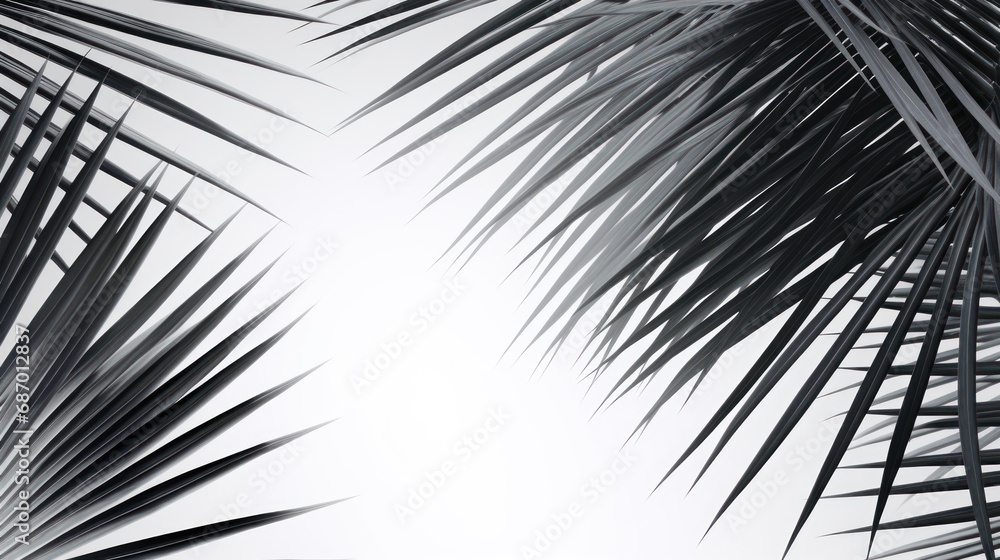 Poster abstract background of shiny palm leaves on isolated white background. white and black.