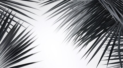 Obraz premium Abstract background of shiny palm leaves on isolated white background. White and black.