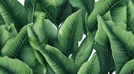 Banana leaves, palmas. Tropical leaves. Seamless pattern on isolated white background. - obrazy, fototapety, plakaty