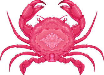 Crab top view, vector isolated animal.