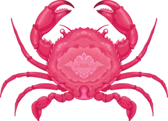 Fototapeten Crab top view, vector isolated animal. © ddraw
