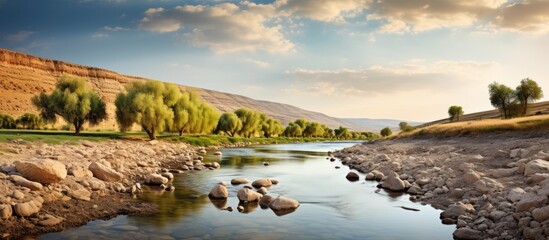 Jordan river landscapes. - obrazy, fototapety, plakaty