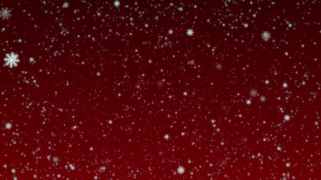 White snowflakes fall on a red background. Animated winter background for the holidays Christmas and New Year.