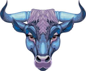 Poster Im Rahmen Bull head, vector isolated animal. © ddraw