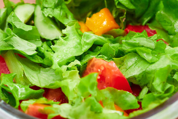 Vegetable salad with tomatoes, cucumbers and herbs.