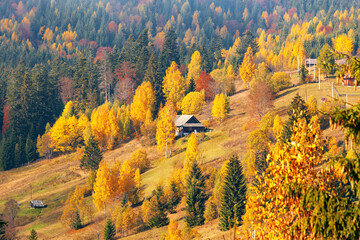 Carpathian mountains rural landscape