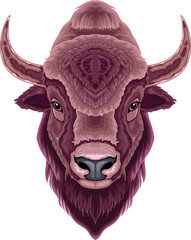 Bison head, vector isolated animal.