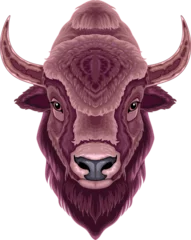 Poster Im Rahmen Bison head, vector isolated animal. © ddraw