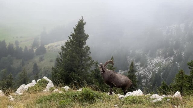 Frankreich im Oktober