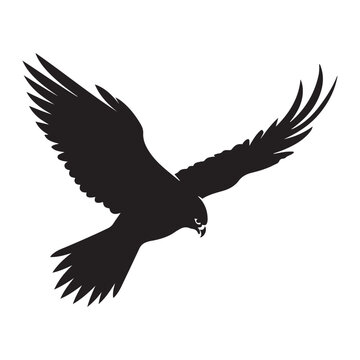 A black Silhouette falcon animal