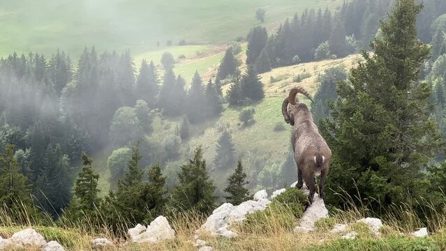 Frankreich im Oktober
