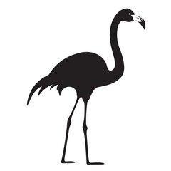 Fototapeta premium A black Silhouette flamingo animal 
