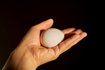White chicken egg in a woman's hand.