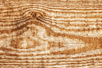 Wood pattern background. Growth rings texture. Wooden knot closeup. Macro wood pattern. Timber...