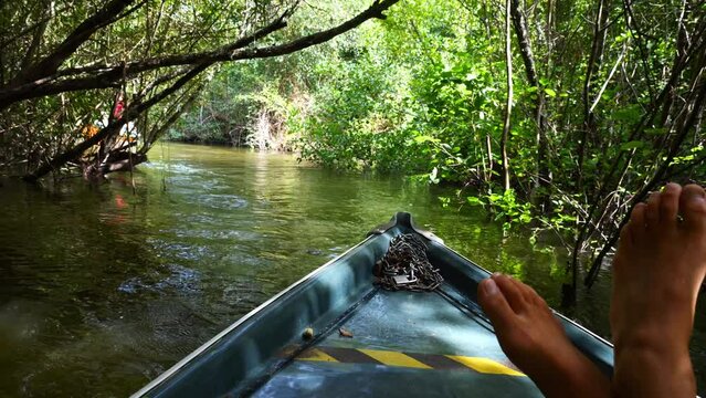 Discovery of the famous "Courant d&rsquo;Huchet"  by boat in the south west of France