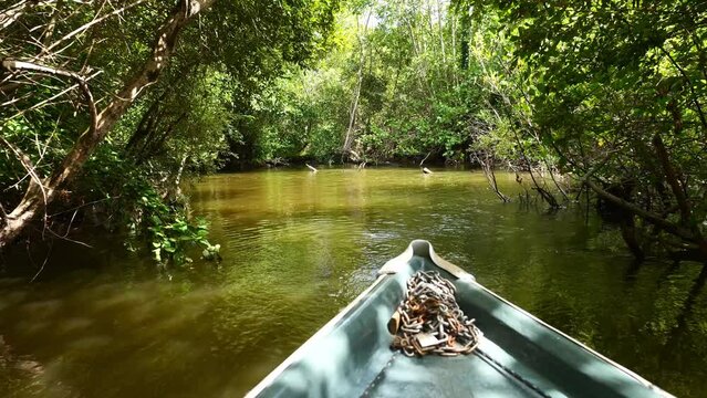 Discovery of the famous "Courant d&rsquo;Huchet"  by boat in the south west of France