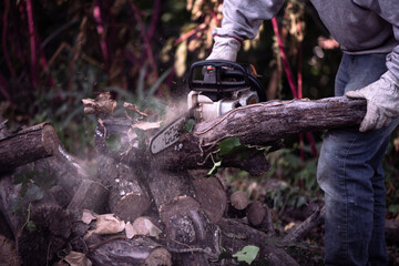Cutting wood into logs for the fire, with an electric chainsaw