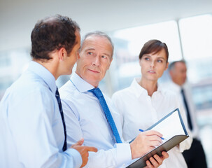 Business people, meeting and group with conversation, brainstorming and planning with documents, speaking and project. Staff, manager and employees with paperwork, teamwork and cooperation with ideas