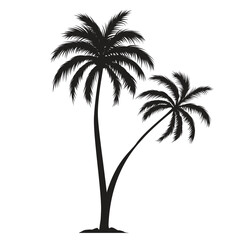 Two black palm trees shape, silhouette of an exotic plant. Vector illustration isolated on white background