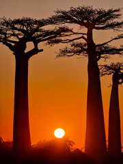 Madagascar travel images 