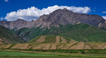 Fototapeta na wymiar Green valley in Kyrgyzstan 