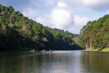 Beatiful nature lake Pang Oung , Pine forest in Mae Hong Son, Thailand - obrazy, fototapety, plakaty