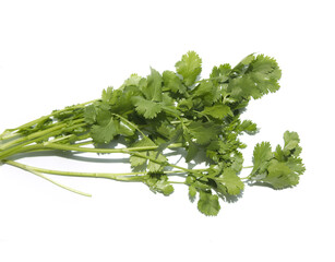 Coriander on a white background.