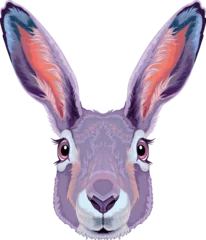 Poster Im Rahmen Hare frontal view, vector isolated animal. © ddraw