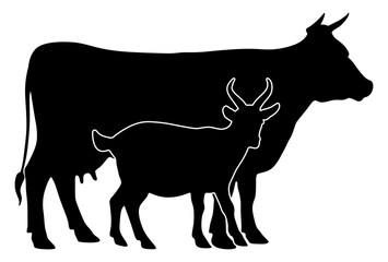 A cow and a goat. Dairy cattle